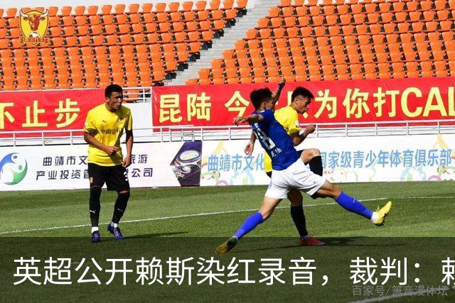 英超公开赖斯染红录音，裁判：赖斯你让我很难做